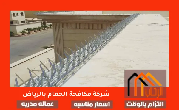 شركة مكافحة الحمام بالرياض