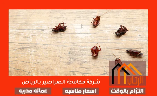 شركة مكافحة الصراصير بالرياض